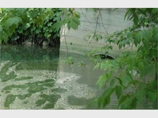 � ����� ���������� ���������� ������ ������ � ����� 