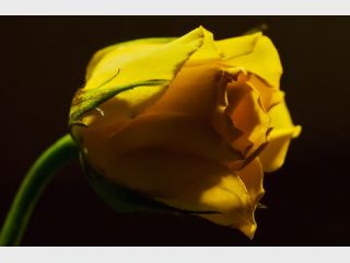 �� ��������� ������� ������: �� ����� ������������ �� ��������� ������ ������