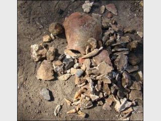 � �������� ���������� ������� �����������