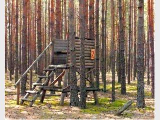 ��� ��������� ����������� ���������� ������ ������� ���