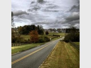 �� ����������� ��������