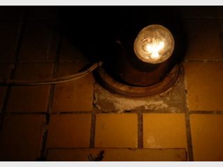 ��������� ����������� ����������� �����������