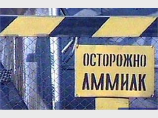 � ��������������� ����� ���������� 20 ������ �������, � ��� ���������� &mdash; 12 ����������� ����� 