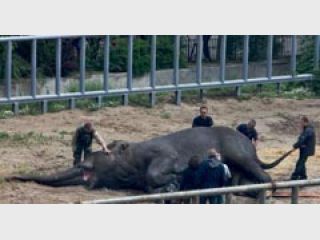 ������ �������� �������� �������