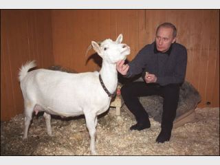 ���� � ������ ��������� ����� 