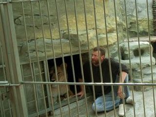 ������ � ��������� � ������ 36 ����, ���� ����� ���� ��� � ��������