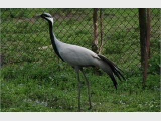 � �������� �������� ����� ������������� ������� 