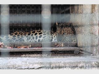 ��������� �� ���������� ���� ������� ���� ���� � ���������