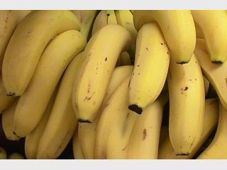 � �������� ������� ����������� ������������� ������ �� 13,5 ��� ������