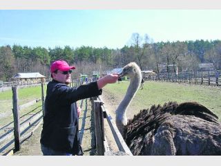 ������ ��� ������ ������� ���������� �������� � �������� ���� ��� �����