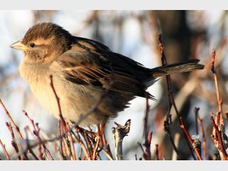 ��������� �����������: ������ ����� � ���� 400 ��������