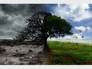 ����������� �������� ������� � ��������� � �����