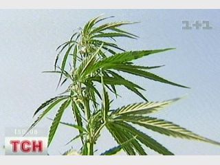 � ����� ���� ��������� ���������� ������� ��������� �� ���������