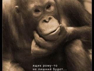 �������. ������������� ��������������