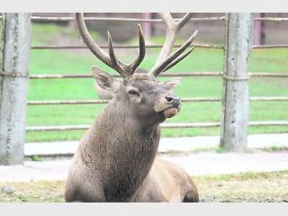 �������� � �������� �������� ������ �������� ����