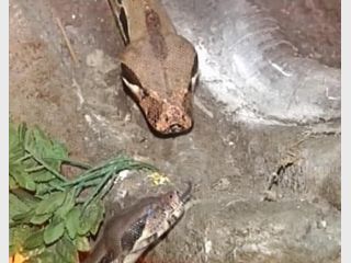 � �������� �������� �������� ����� �������