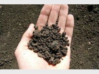 �������: � ������� �������� 