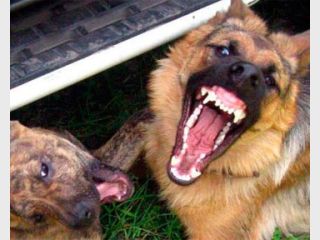 �� ������� ����� ������� �������� ���� ��� ������ � ����������