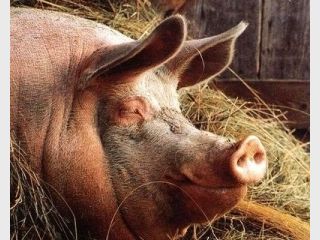 ����� ���������� ������� ������������� ������� ����������� ����