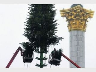 � ����� ����� ��������� ���������� ���� �� ����������� ������ 