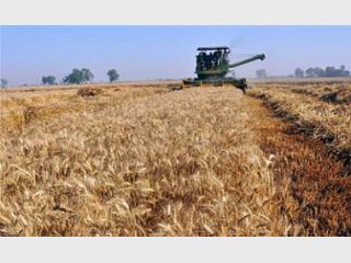 ������� �� ��������. ���� ��������� ��������� �������