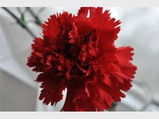 �������� �������� �� ������ ����� � �������