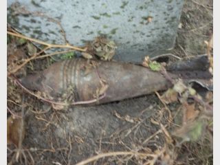 �� ������������ �� �������� ������ ������ �� ������� �������� ������ � �������