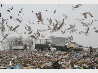 �� ������ ������� ������ ����� ��� ���������� �������