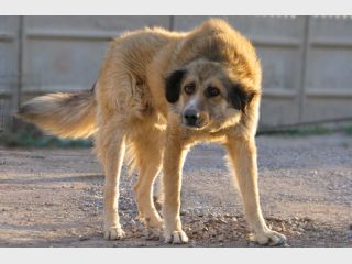 � ����-2012 ������� ������� �� ������� &mdash; ����� ������� �������