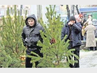 ����� ����� ����� � ������ �������� ��������� ���� ��� ������������ ���� 