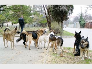 � �������� ������� ���������� �������� �������� ��������� �����