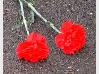 ����������� �������� ������� ������ ���������� � �������������