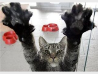 � ����� ��������� ������� ����� � �����