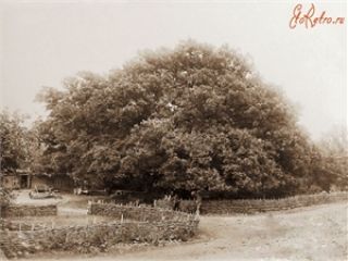 �������� ����� ������� ������ ������� &mdash; 700-������ ��� 