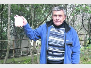 �������� Costa Concordia: 