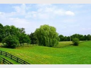 � �������� ���. ������� �������� �������� ������� ����� �� 520 ���. ���