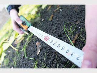 ������� ������� ���������� ����������� �� ������ � ����� �����