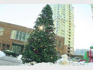 ����� ���������� ������: ��������� ������� � ������� � ������� ������� �����