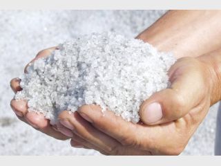 �������� ��������� 