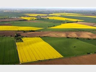 �������� ��� ����������� ���� �� ������� � ������� � ����� �����