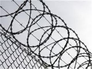 � ����������� ������� �����������, ������� ������ � ����� 14 ��� 