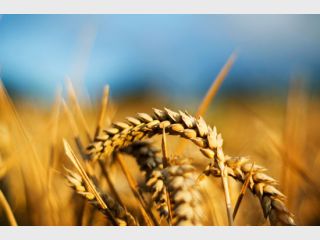 ��� �������� � ������� 10 ��� ��� �� ��������� ����� ������� 