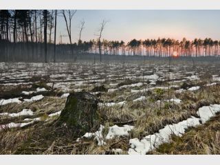 ��-�� ������� ����� � ������� ����� ��������� ������ ���� ��������