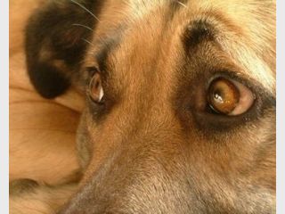 ������������ ����� ������� ����� ���������� ���������������� �� ��������������� ������