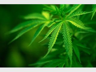 ������ �������� ���������� ��������� �� 3 ������� ��������
