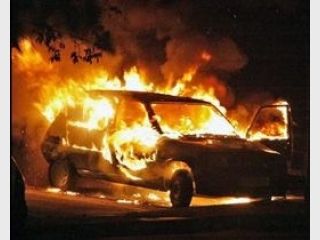 ������������ ����������� ������ ������