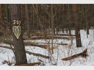 ��������� ��������� ������ �������� ������������ 