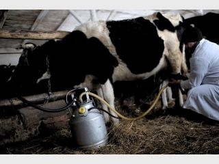 ��������� ����. ������ ��������� ������ ����-������