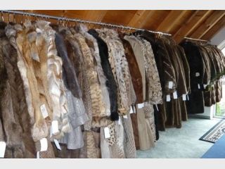 � ����� ���� ������� �� �������� ��� �� ����� ����� ������