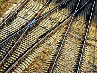 ��� ���������� ��������� ���������� ������������. ����� �����������